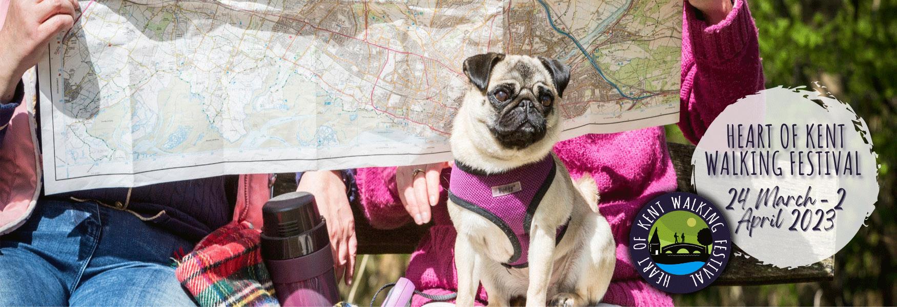 Hucking with Map and Pug
Heart of Kent Walking Festival - 24 March to 2 April 2023