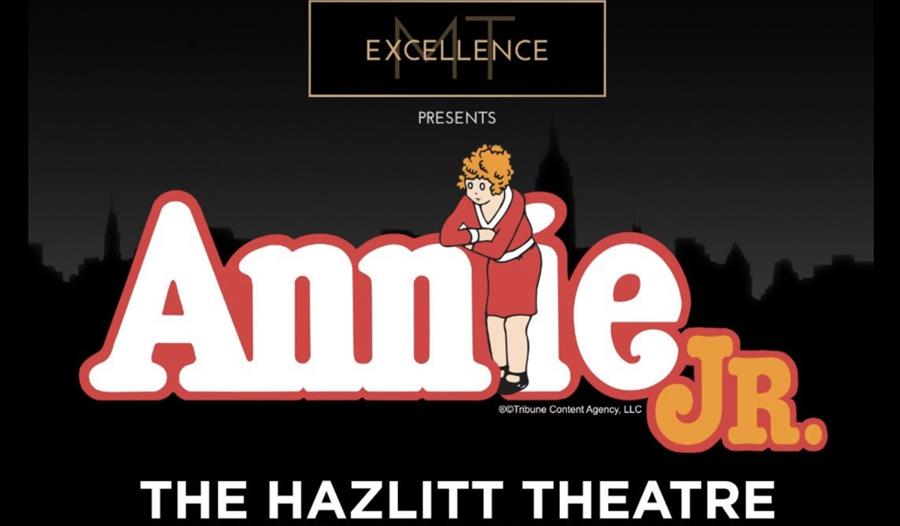 Poster of Annie JR