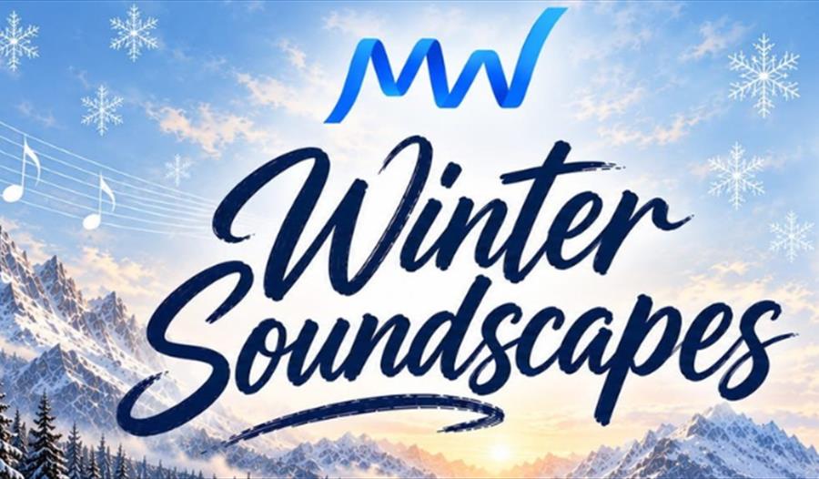 Winter Soundscapes