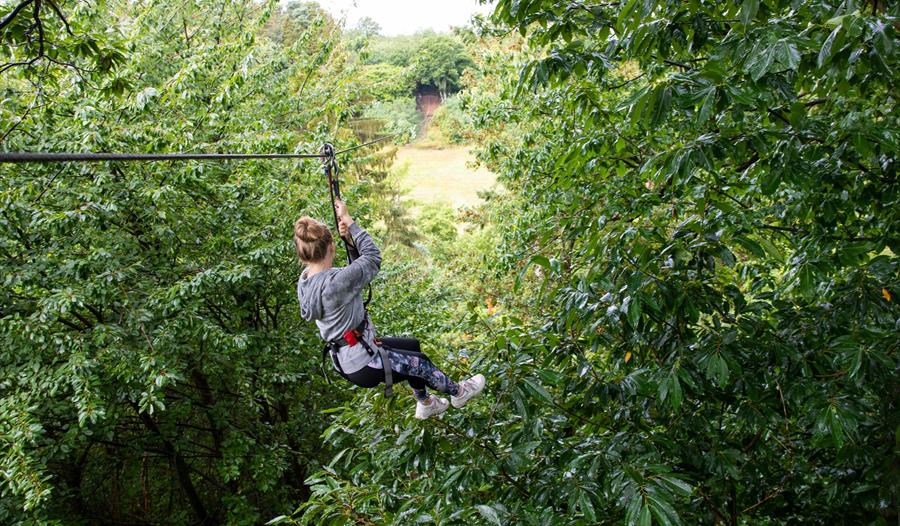 February half term outdoor adventure at Go Ape Leeds Castle