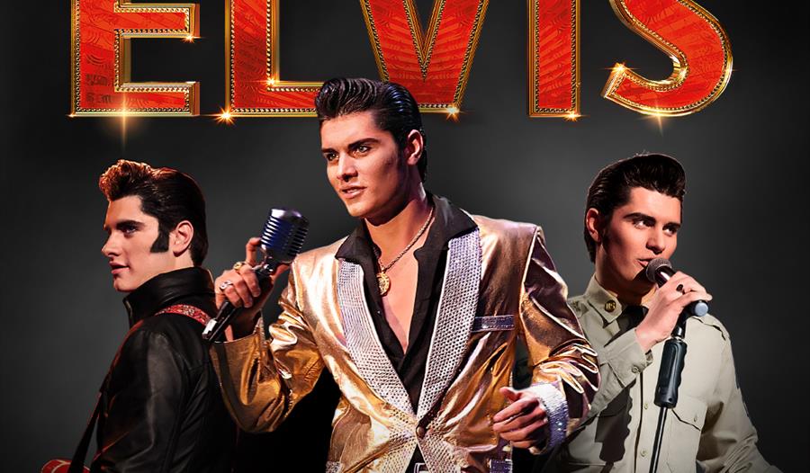 Poster showing Emilio as Elvis