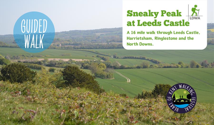 A Sneaky Peak at Leeds Castle | Heart of Kent Walking Festival 2026