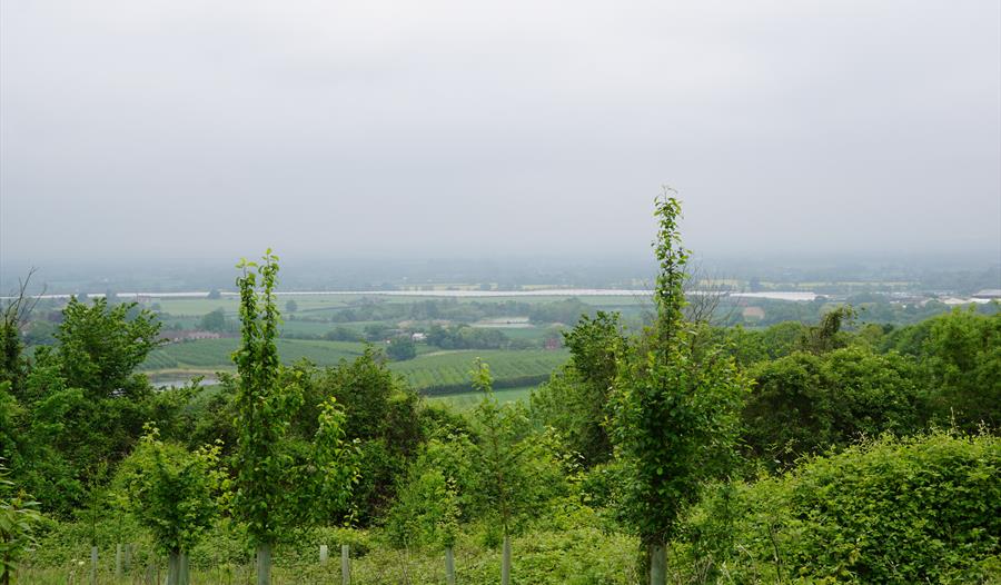 View across the weald