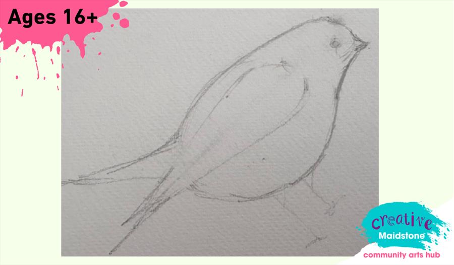 A drawing of a bird on a plain background