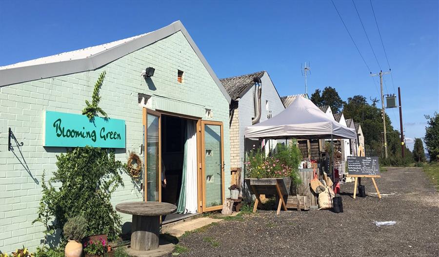 Blooming Green Farm in Maidstone, Maidstone Visit Maidstone