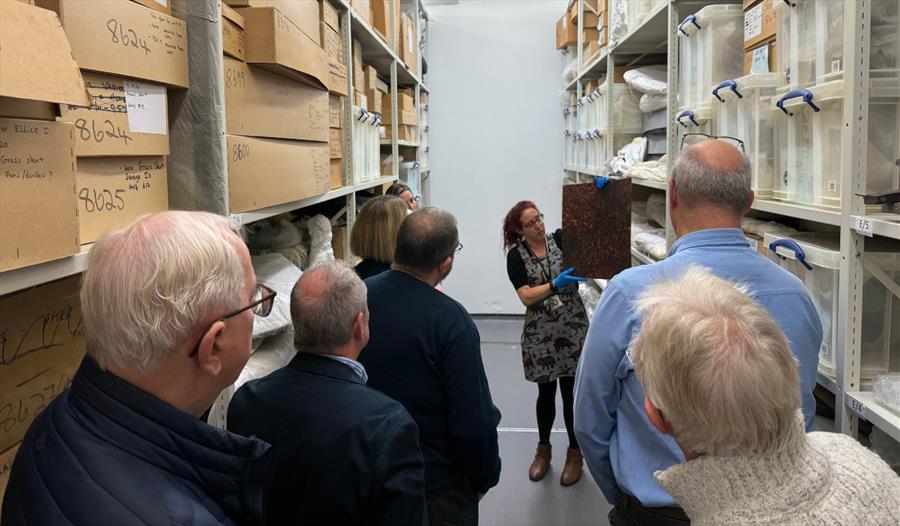 Behind the Scenes Tour: Art Collection