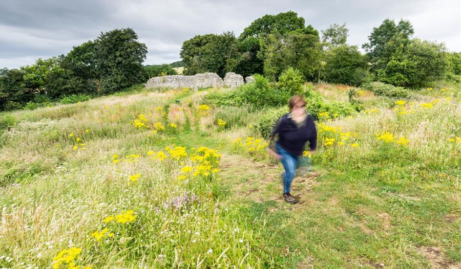 Walker walking through grassy meadow with remains of a ruined castle in the background