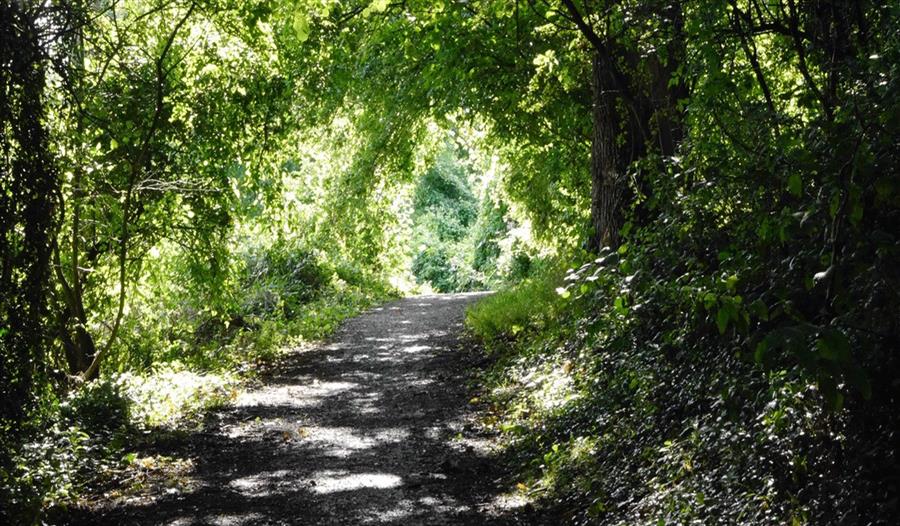 Footpath through Vinters Valley Nature Reserve