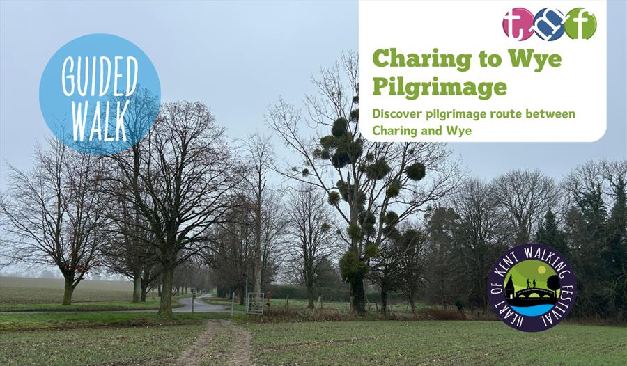 Charing to Wye in the footsteps of pilgrims | Heart of Kent Walking Festival 2026