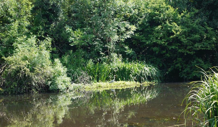 Vinters Valley Nature Reserve Nature Reserve In Maidstone Visit Maidstone