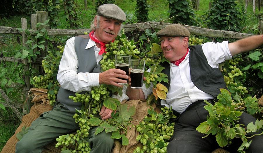 Rolling around in hops at Kent Life Maidstone.