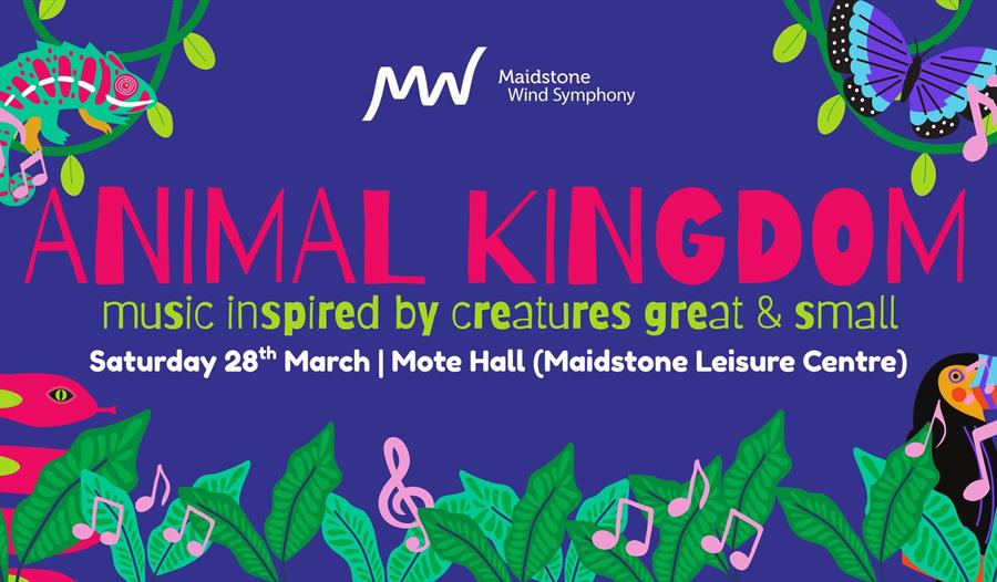 Animal Kingdom Concert