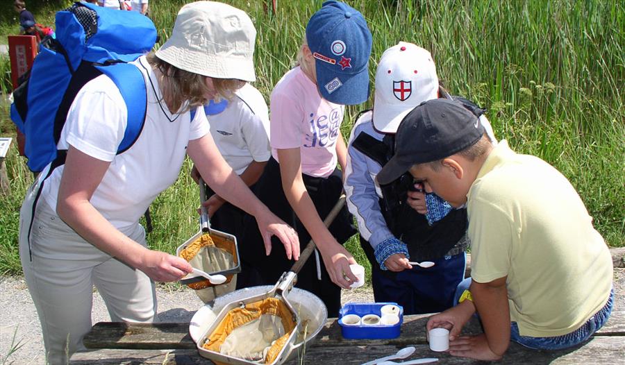 Pond dipping at Tyland Barn