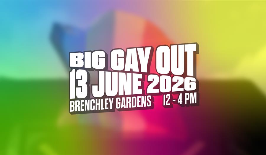 Big Gay Out