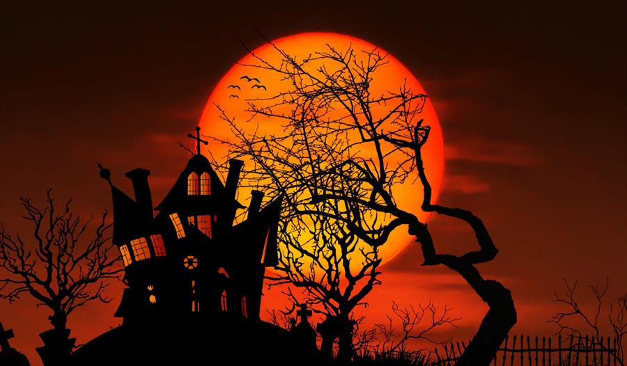 Spooky Fun and Halloween Giggles Kids Party at Maidstone Museum