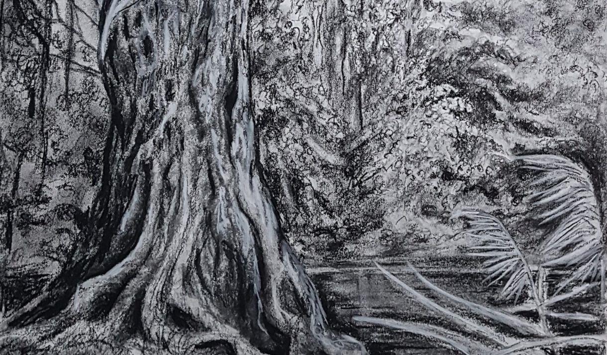 A pencil and charcoal drawing of trees and a stream in Mote Park, Maidstone