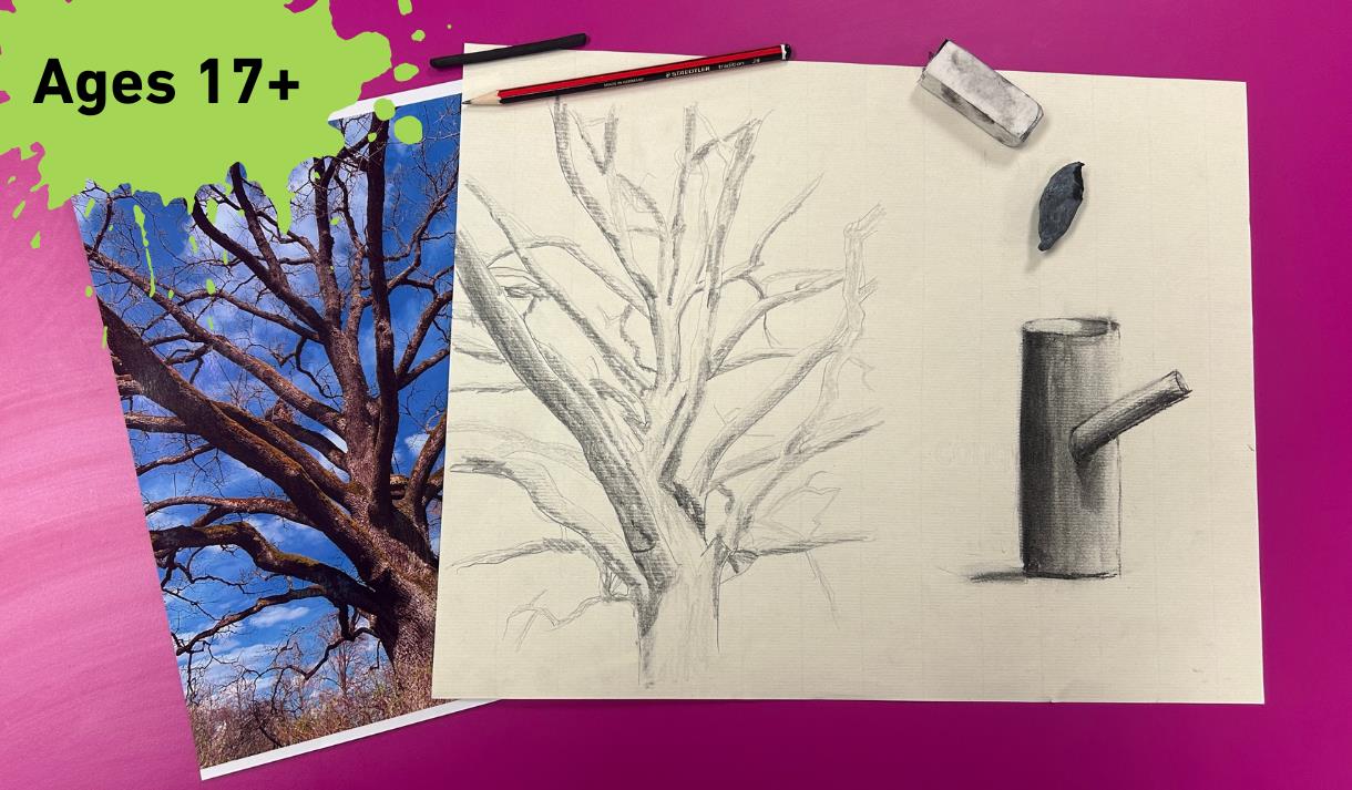 Ages 17 + in the top left-hand corner. main image photograph of a tree and a pencil sketch of the tree to the right.