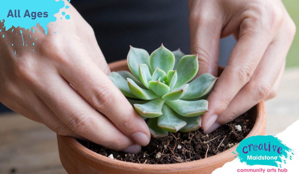 AI generated image of a person planting a succulent plant