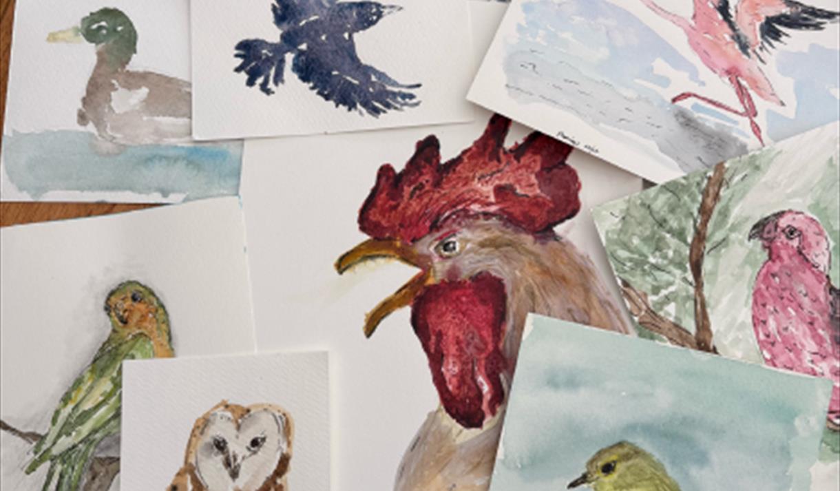 Watercolour paintings of birds