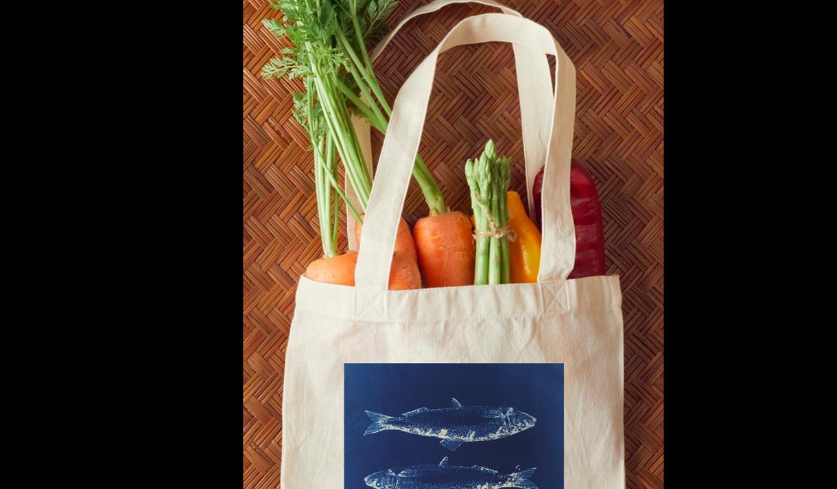 Cyanotype Tote Bag Workshop with Mona Whitton