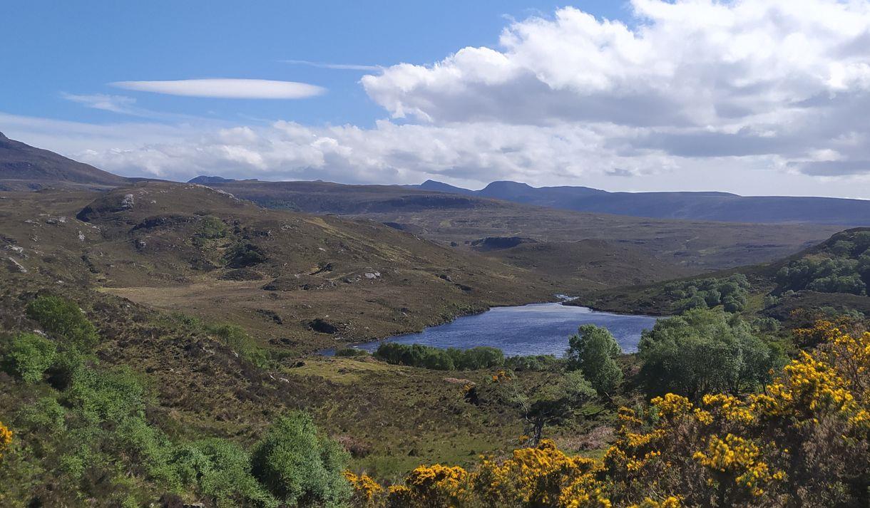 A landscape scene of the Scottish Highlands. Gorse bushes in the foreground, hills in the background and a loch in the centre