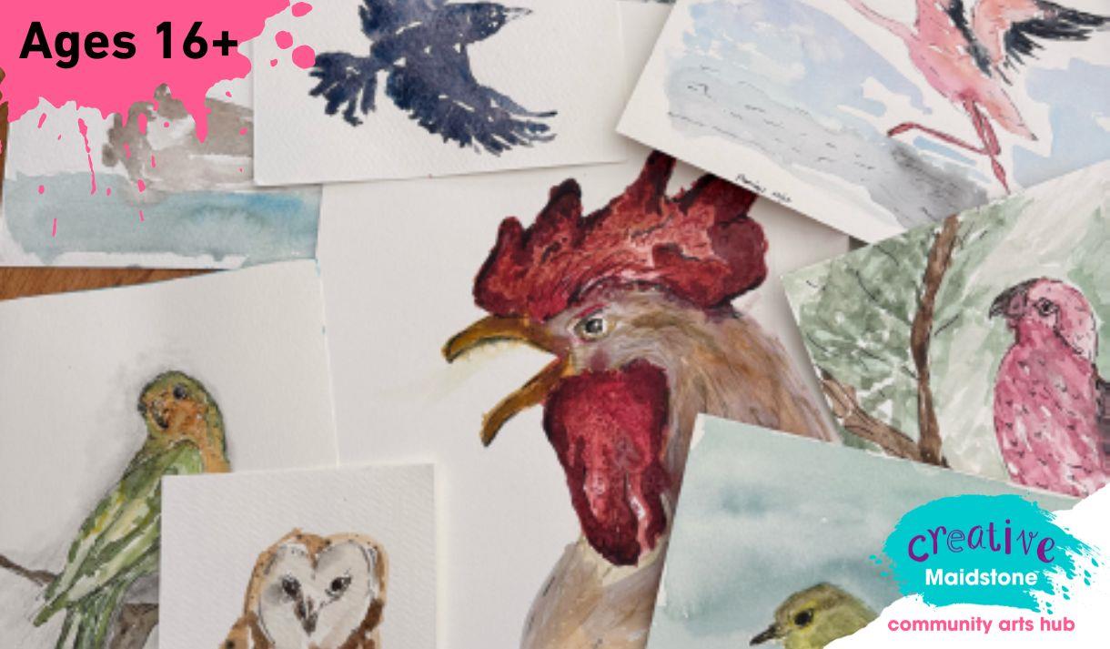 A selection of hand drawn and watercoloured birds