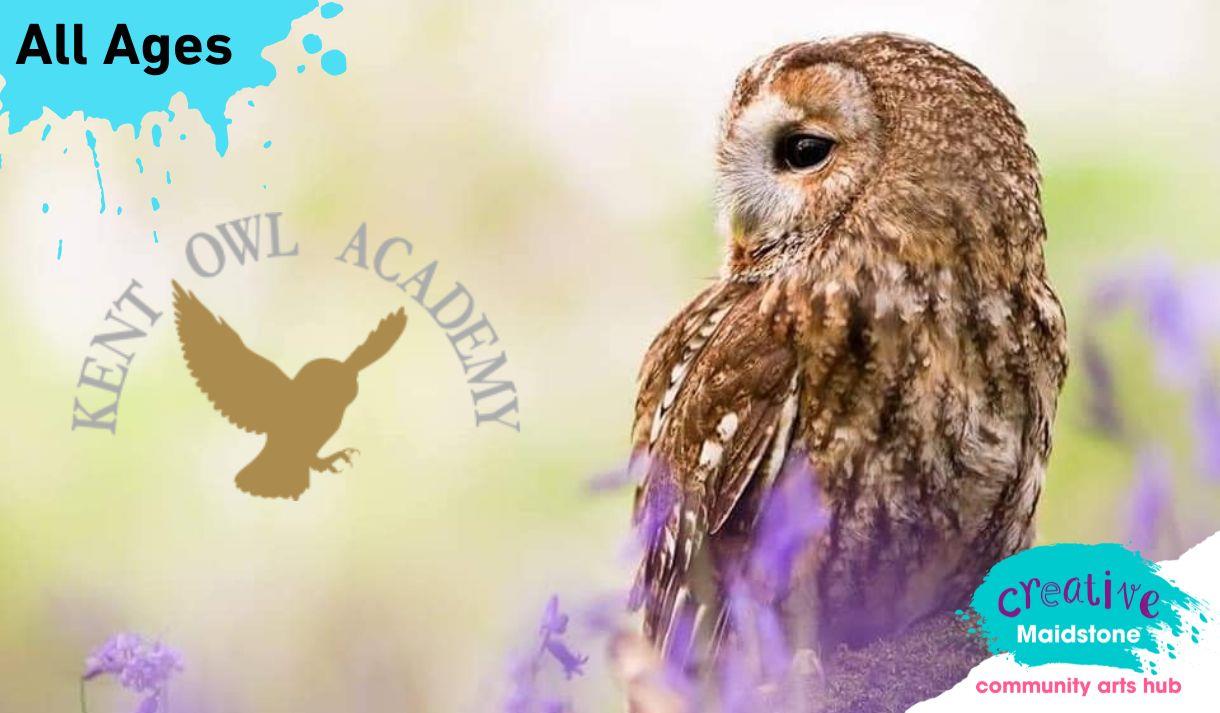 An owl in a field with bluebells in the foreground and Kent Owl Academy logo