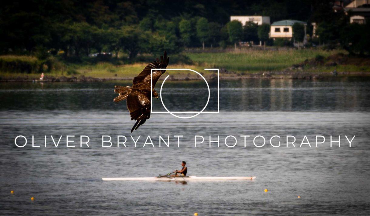 A landscape featuring a lake in the foreground with a single rower with an eagle flying overhead