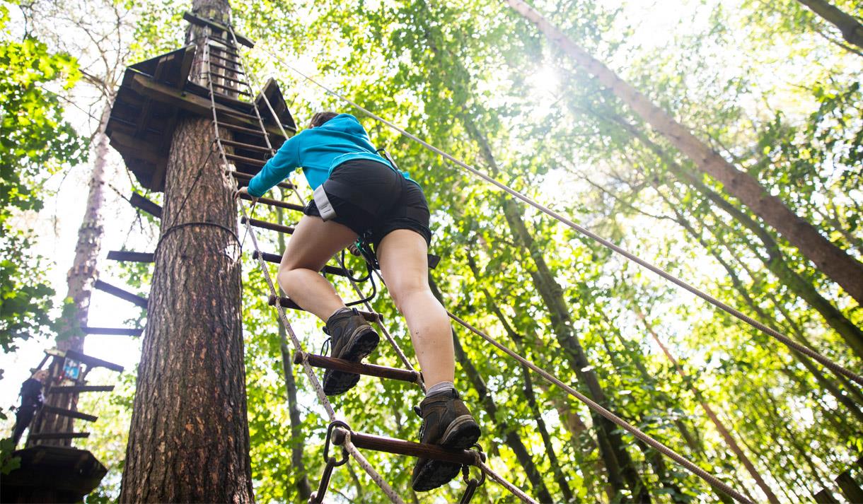 Go Ape Forest Adventure Leeds Castle Adventure Park Playground In Maidstone Maidstone Visit Maidstone