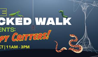 Creepy Critters