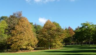 View of Cobtree Manor Park