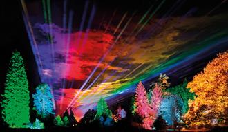 Christmas Light Displays at Bedgebury