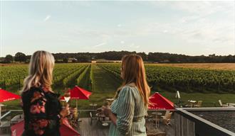 Looking out across the vines from the upper terrace