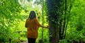 A lady walking through and touching the trees on a trail.