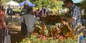 People wandering through the garden