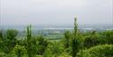 View across the weald