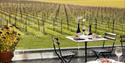 Balfour Winemakers Kitchen with Vines in background