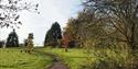 Woodland Trust