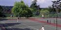 Clare Park tennis courts