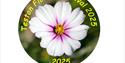 Flower Festival - promo