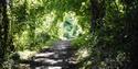 Footpath through Vinters Valley Nature Reserve