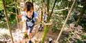 Child on tree top steps