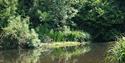 Heron on the lake at Vinters Valley