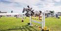 Show jumping horse