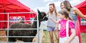 Stroking an alpaca at Kent County Show 2022