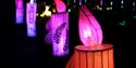 Paper lanterns in parade for Light Up Maidstone