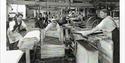 The History of Paper-Making in Maidstone