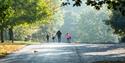 People walking in the distance in Mote Park