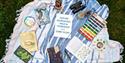 Stripey blanket on a grassy background, covered with art materials including sketch books and paints