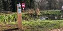 What the posts look like on the Nature Trail.